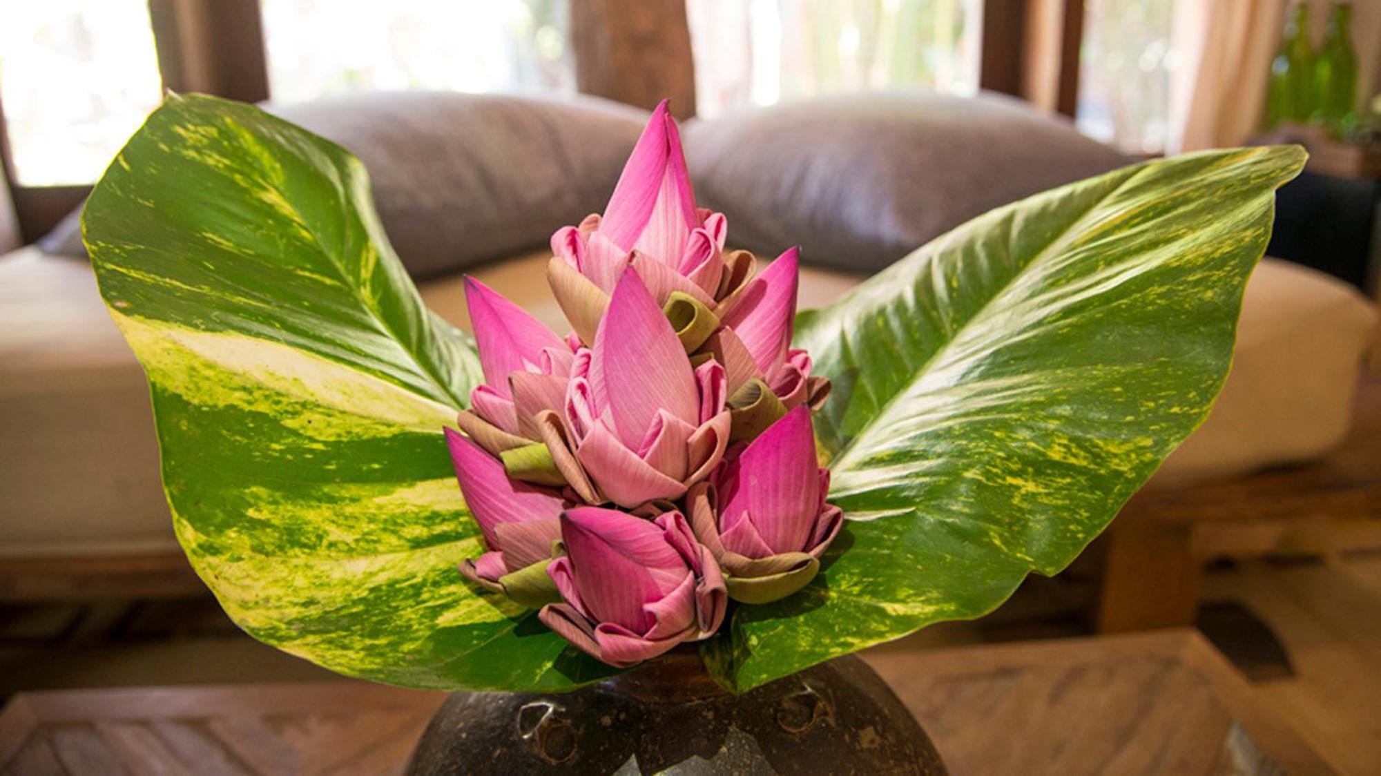 Maisons Wat Kor Hotel Battambang